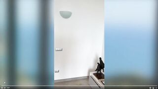 Daniela Antury Sucks And Grinds Her Neighbor OnlyFans