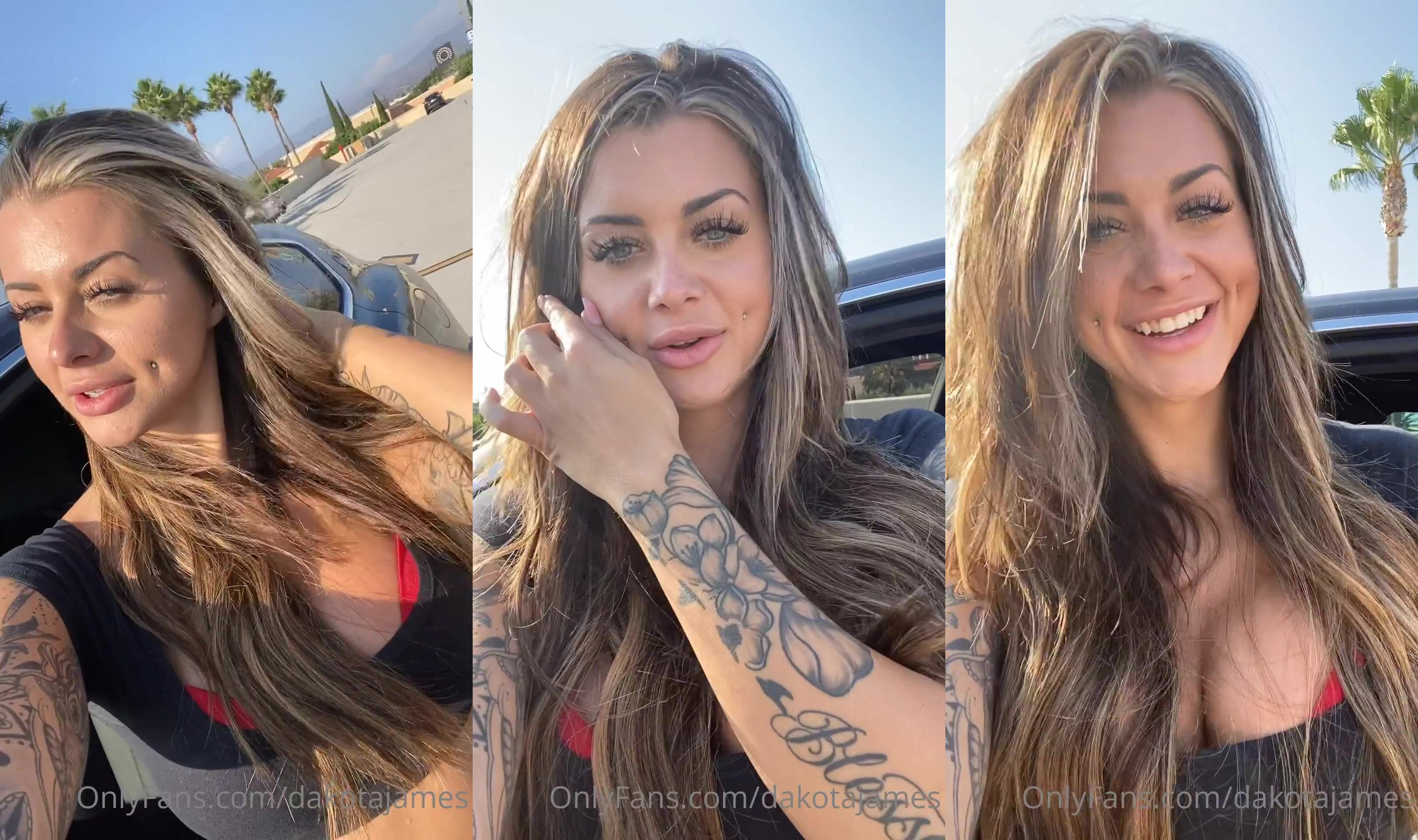 Blonde Dakota James Sex In The Car