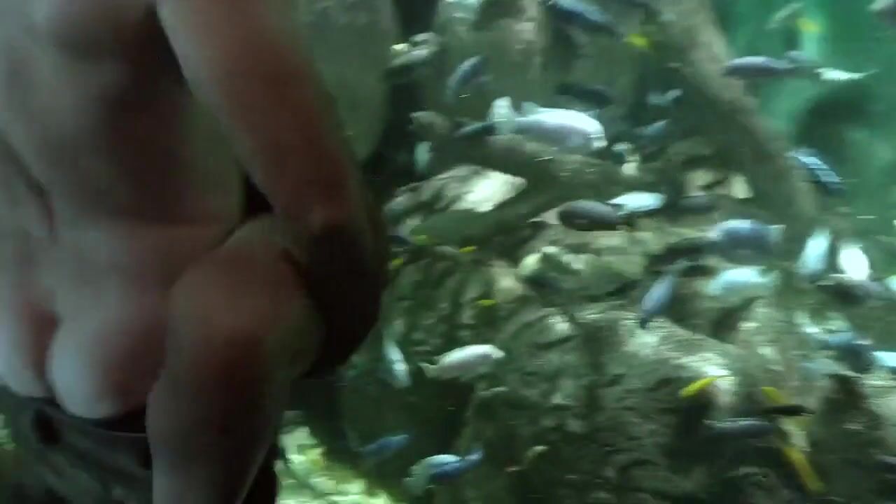 Emmy Rossum Gets Rammed Outside The Aquarium